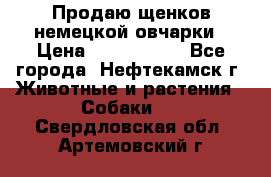 Продаю щенков немецкой овчарки › Цена ­ 5000-6000 - Все города, Нефтекамск г. Животные и растения » Собаки   . Свердловская обл.,Артемовский г.